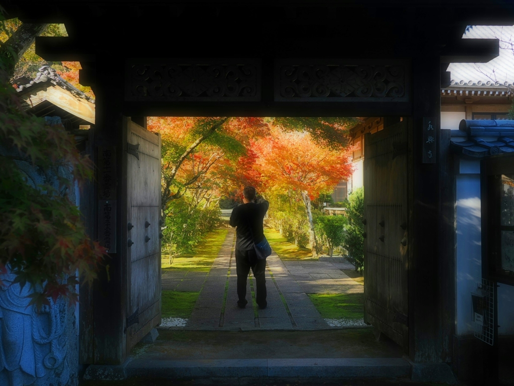 紅葉を撮る人を撮る