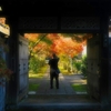 紅葉を撮る人を撮る