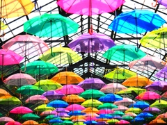 傘色々
