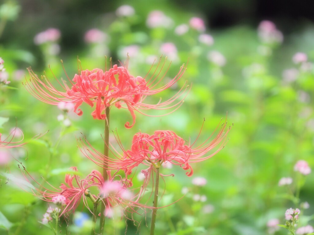いい天気