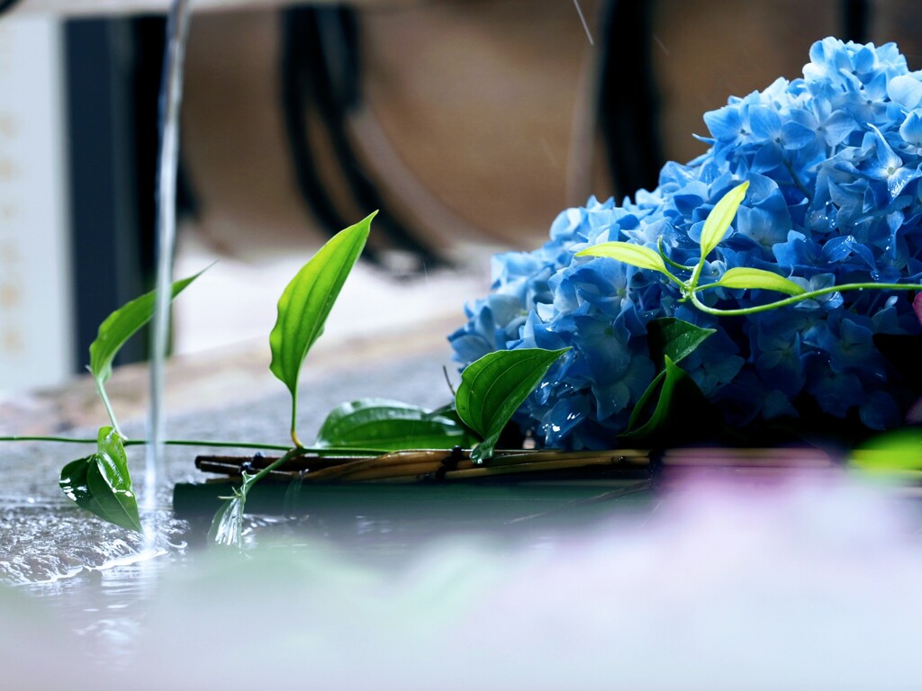 花手水