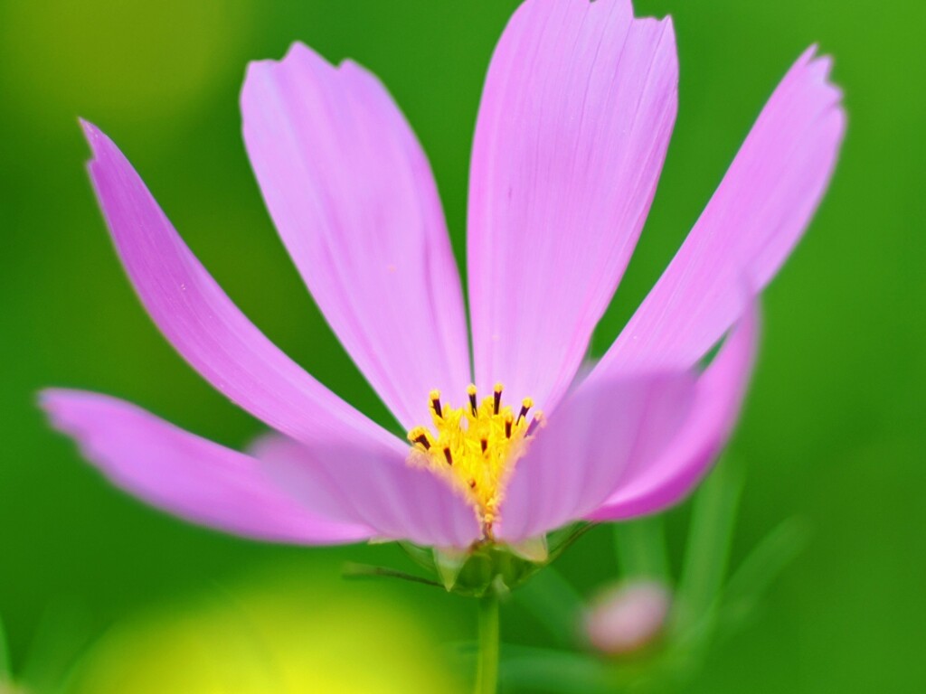 涼しくなぁ〜れ