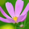 涼しくなぁ〜れ