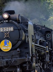D51