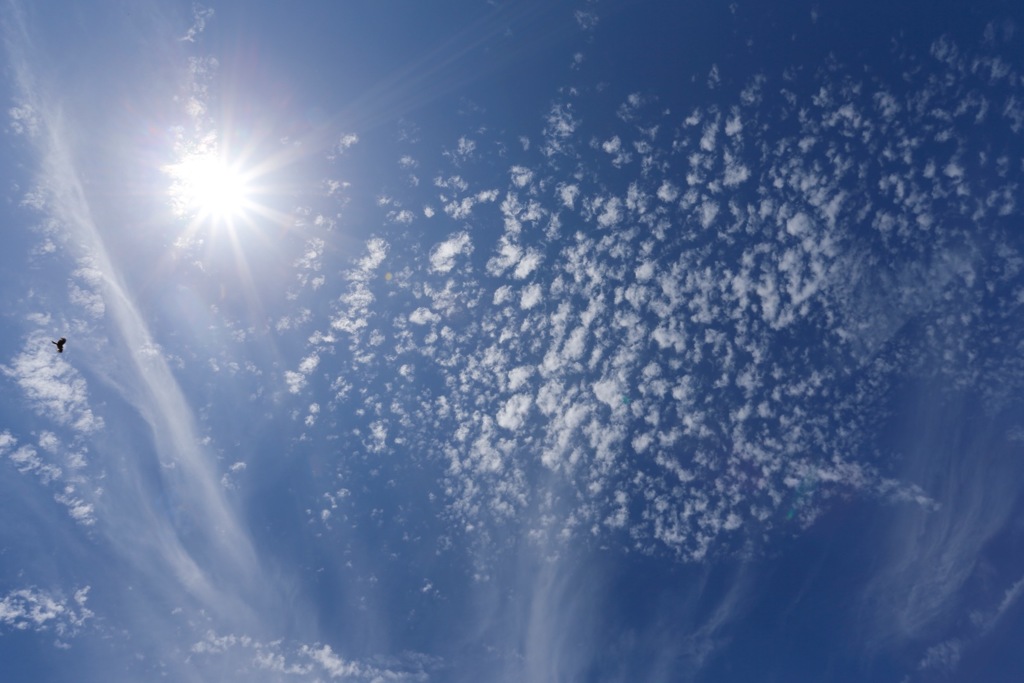 大きな空