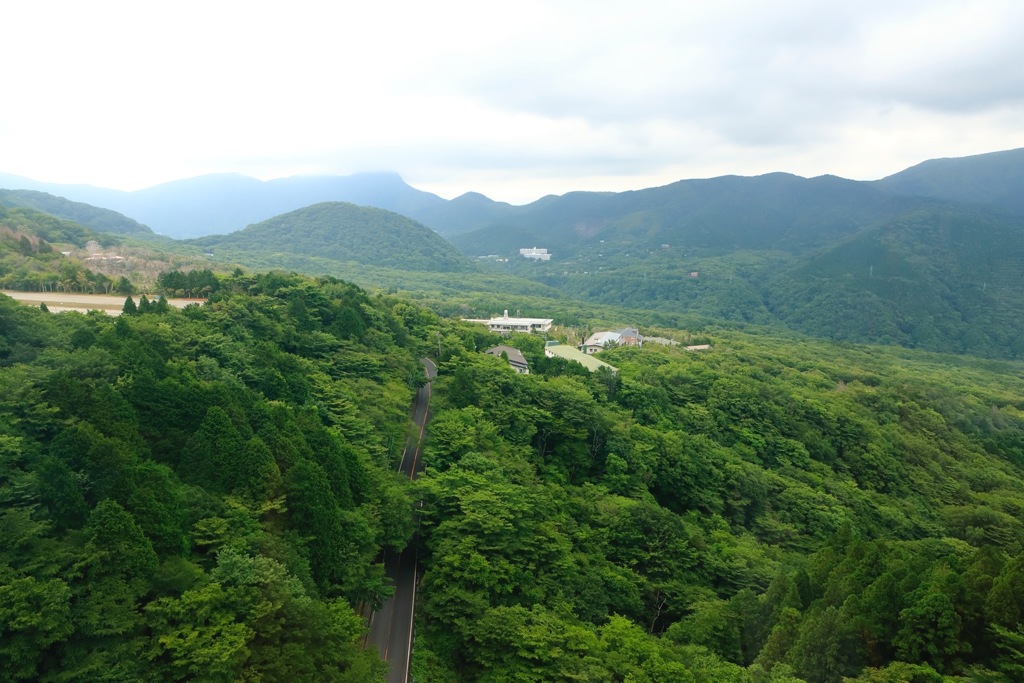 森の道