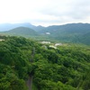 森の道