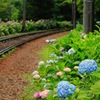 花路線