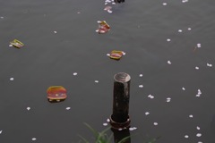鎌倉