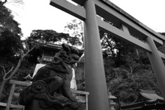 平成最後の冬