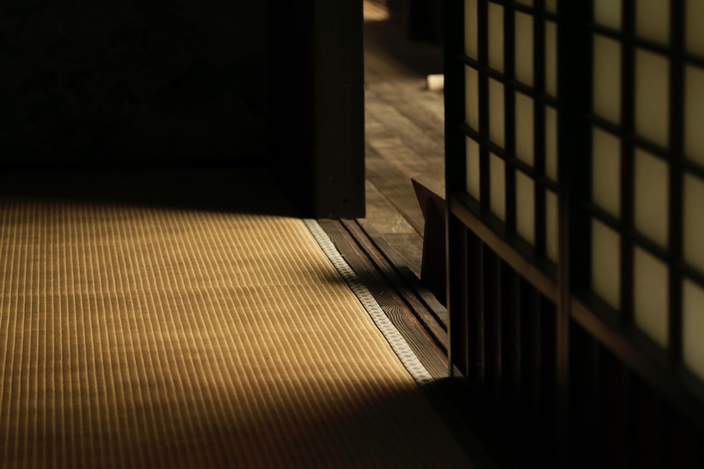 照らす光