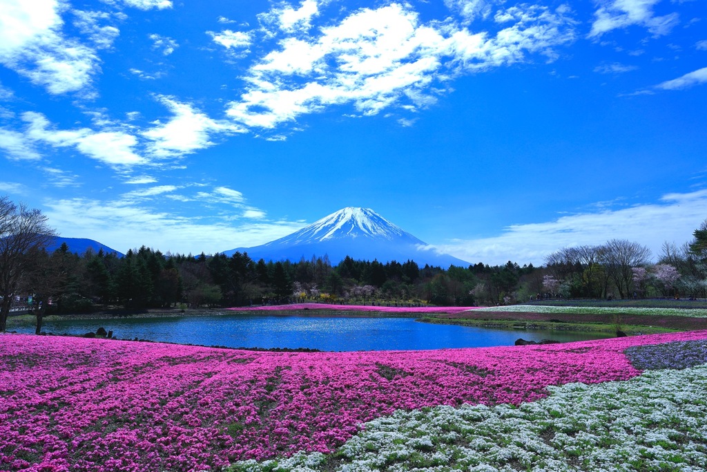 日の丸