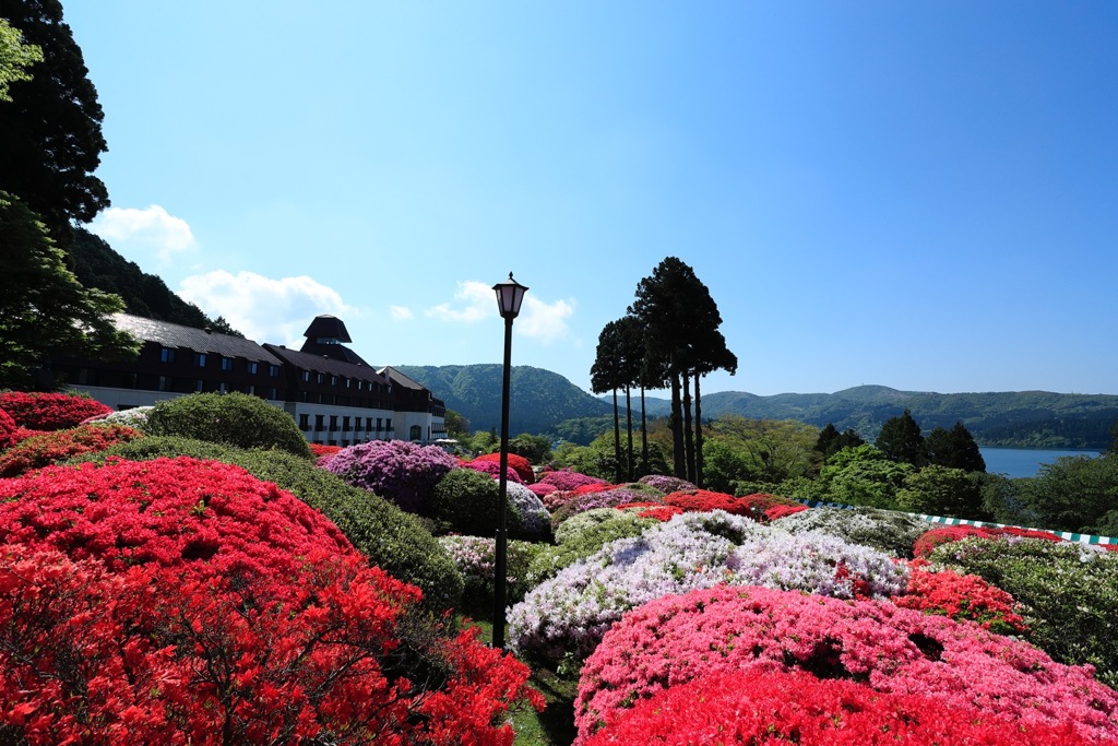 今日の絶景