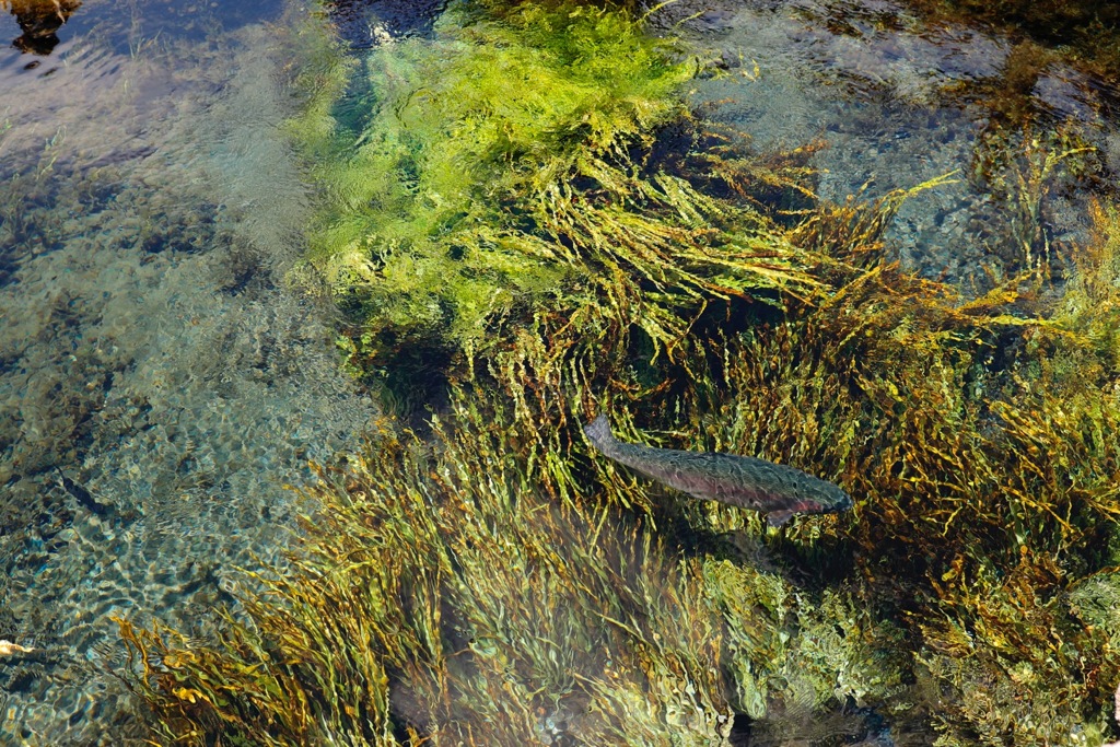 天然水