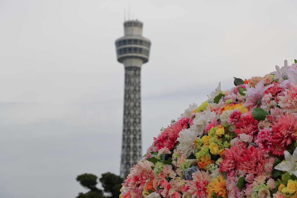 シンボル