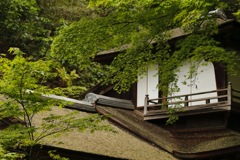 四季