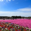 非日常