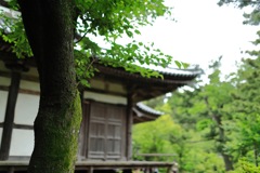 時間