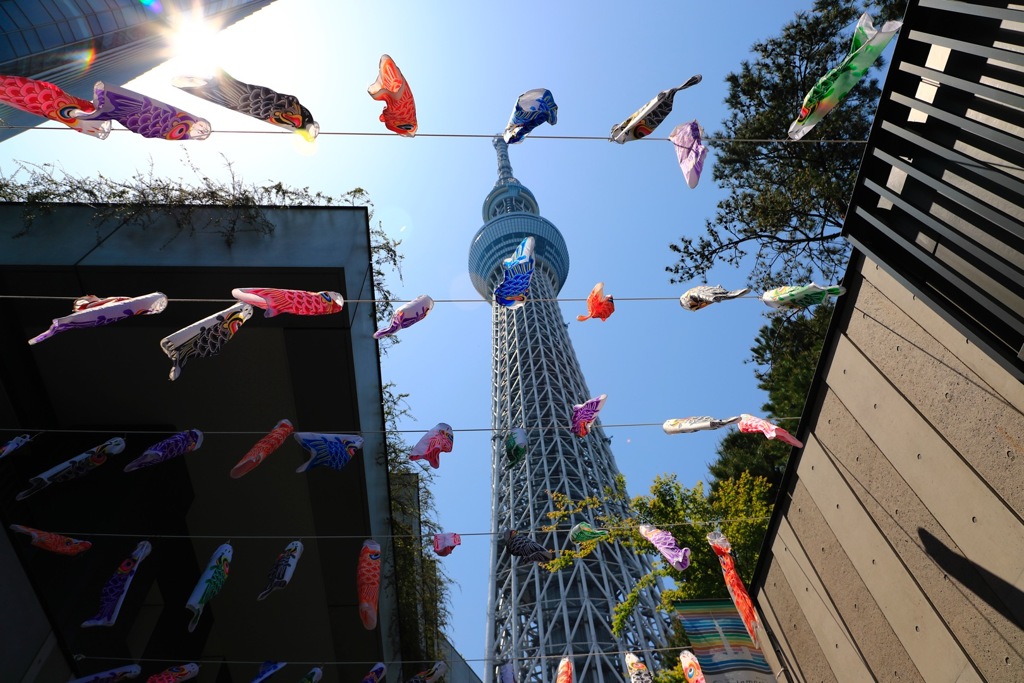 上に登る