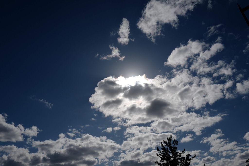 冬空