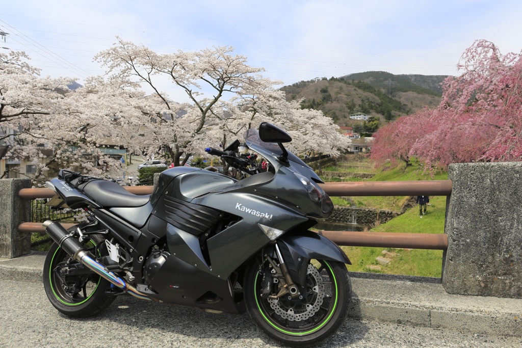 相棒