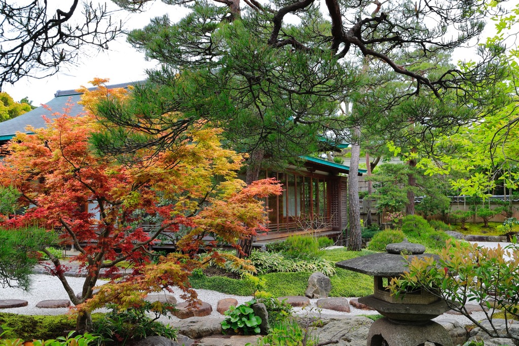 鎌倉 ぼたん園