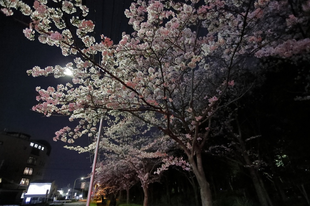 夜の表情