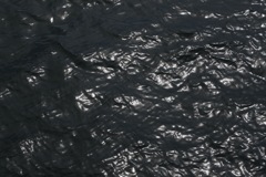 波の光