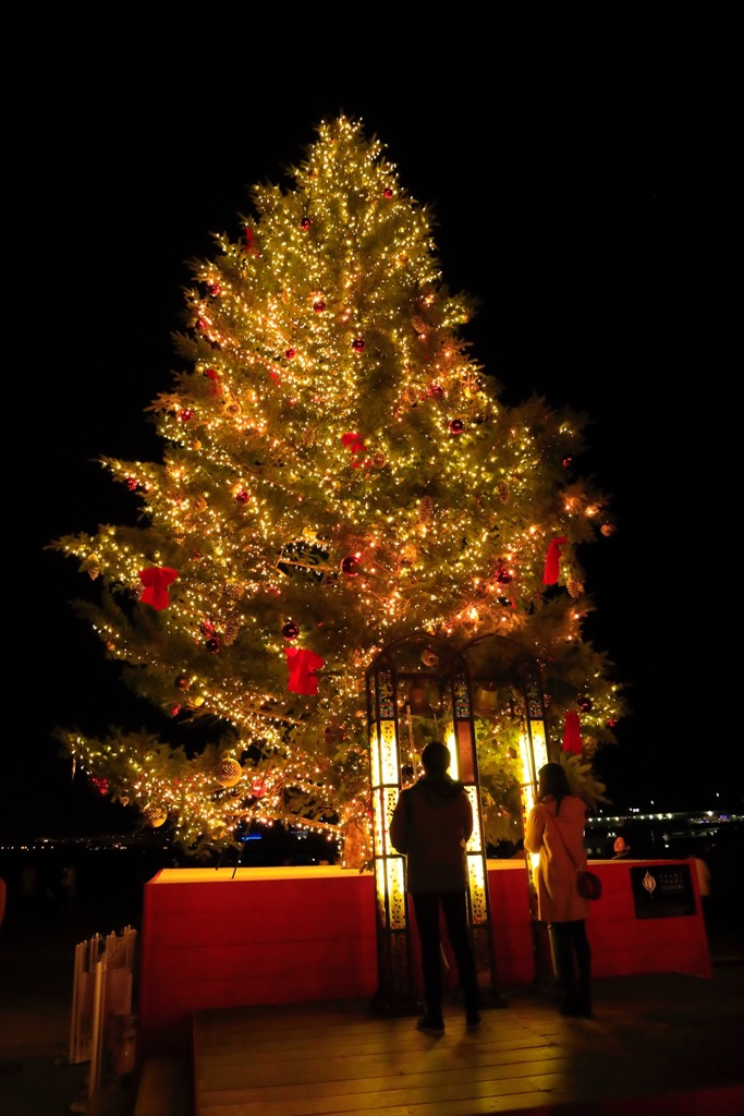 愛・メリークリスマス