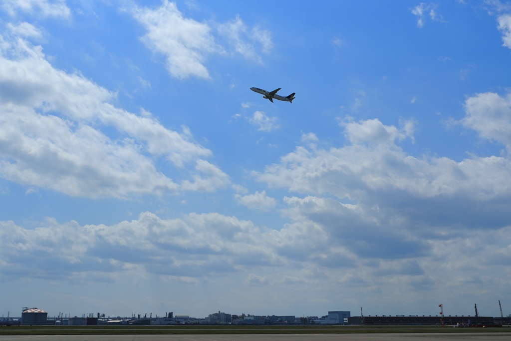大空に舞う