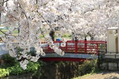 風情