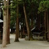 樹齢