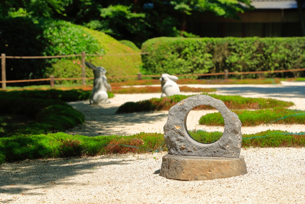 月のウサギ