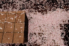 桜のマット