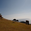 丘と海そして馬