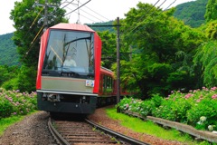 スイスの最新型紫陽花電車