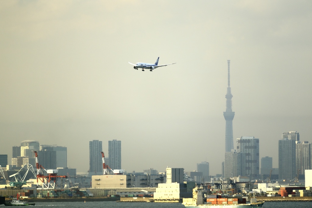 スカイツリーと787