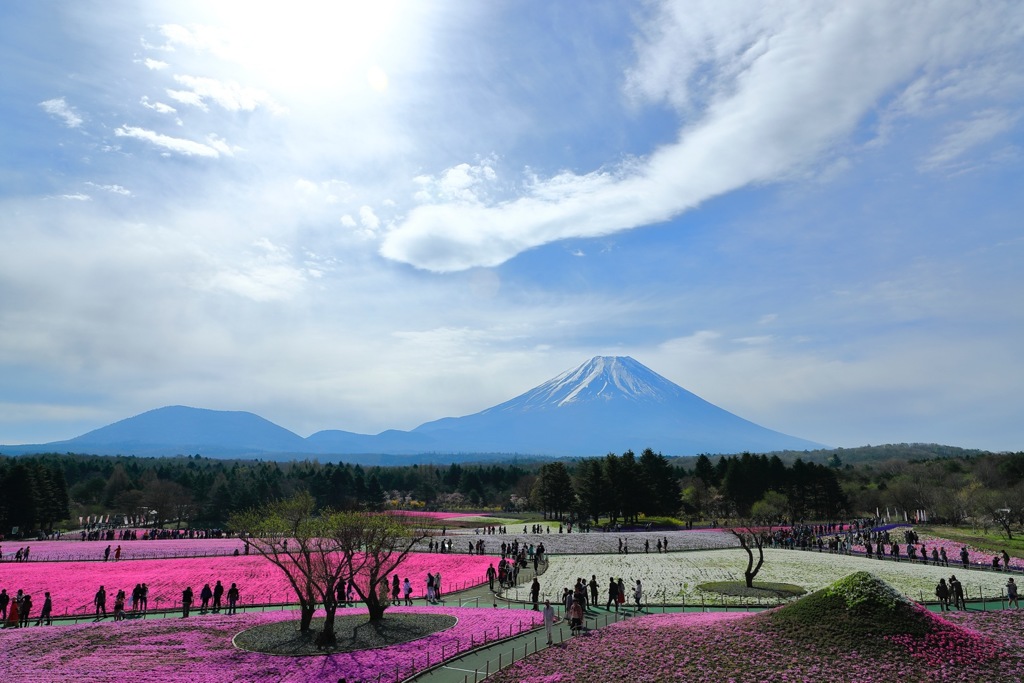 ２つの日本一