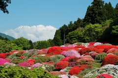 見えぬ富士山