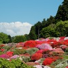 見えぬ富士山