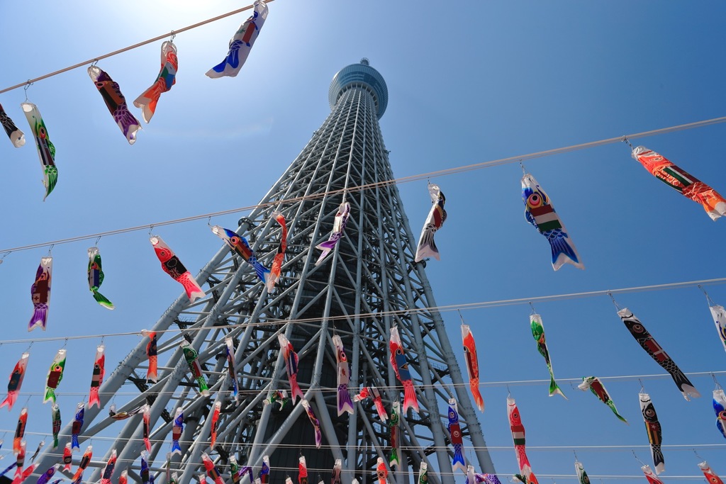 空高く