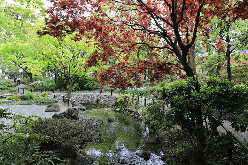 横浜の和
