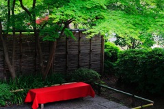 鎌倉 ぼたん園