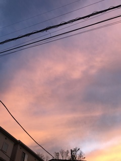 夕暮