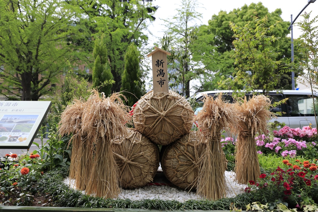 横浜の新潟