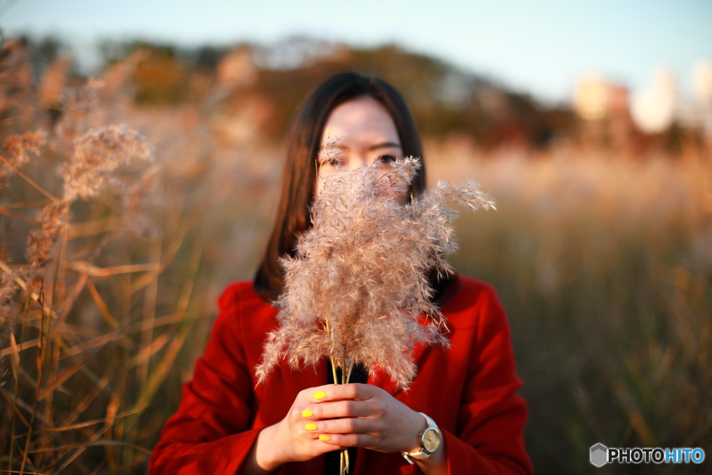 今年も終わる・・