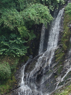 DSC00641