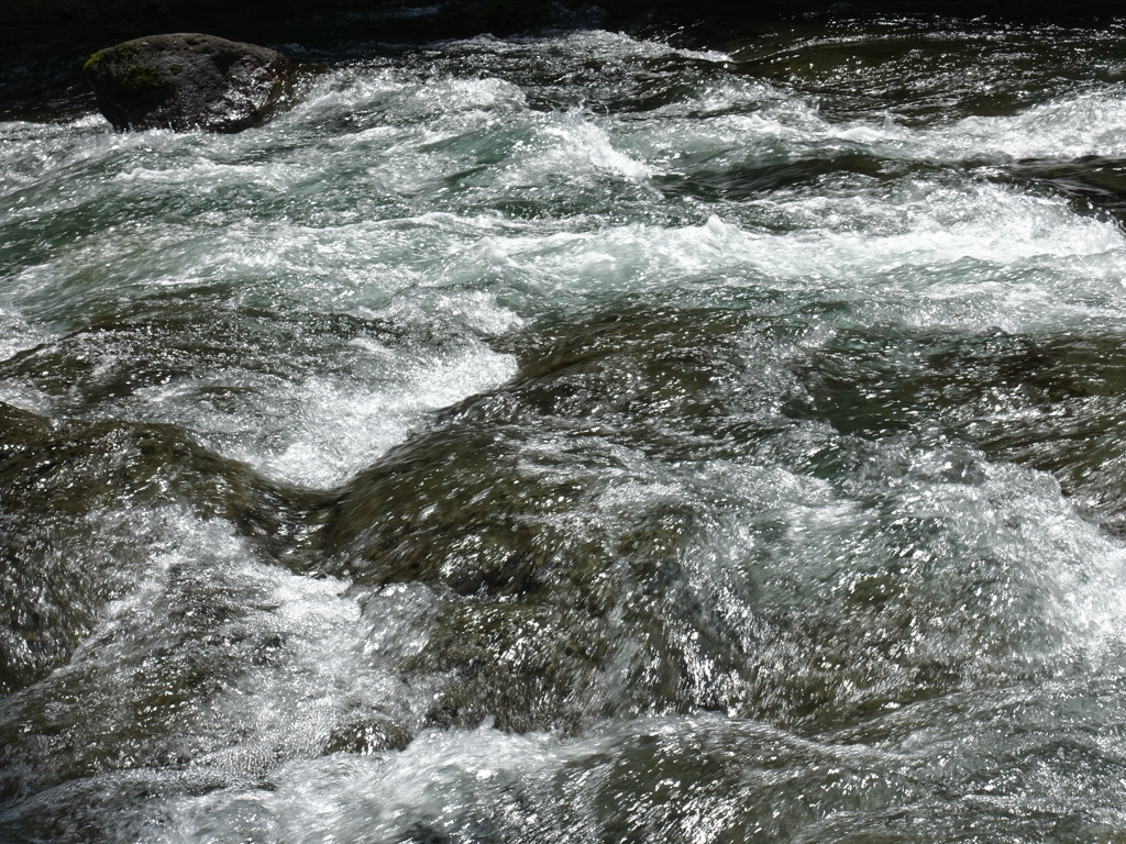 DSC00617
