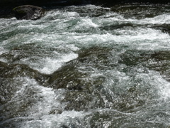 DSC00617