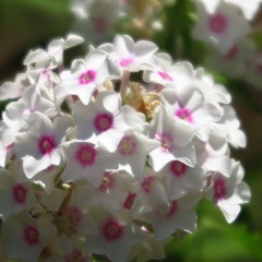 IMG_20230721_063318_987